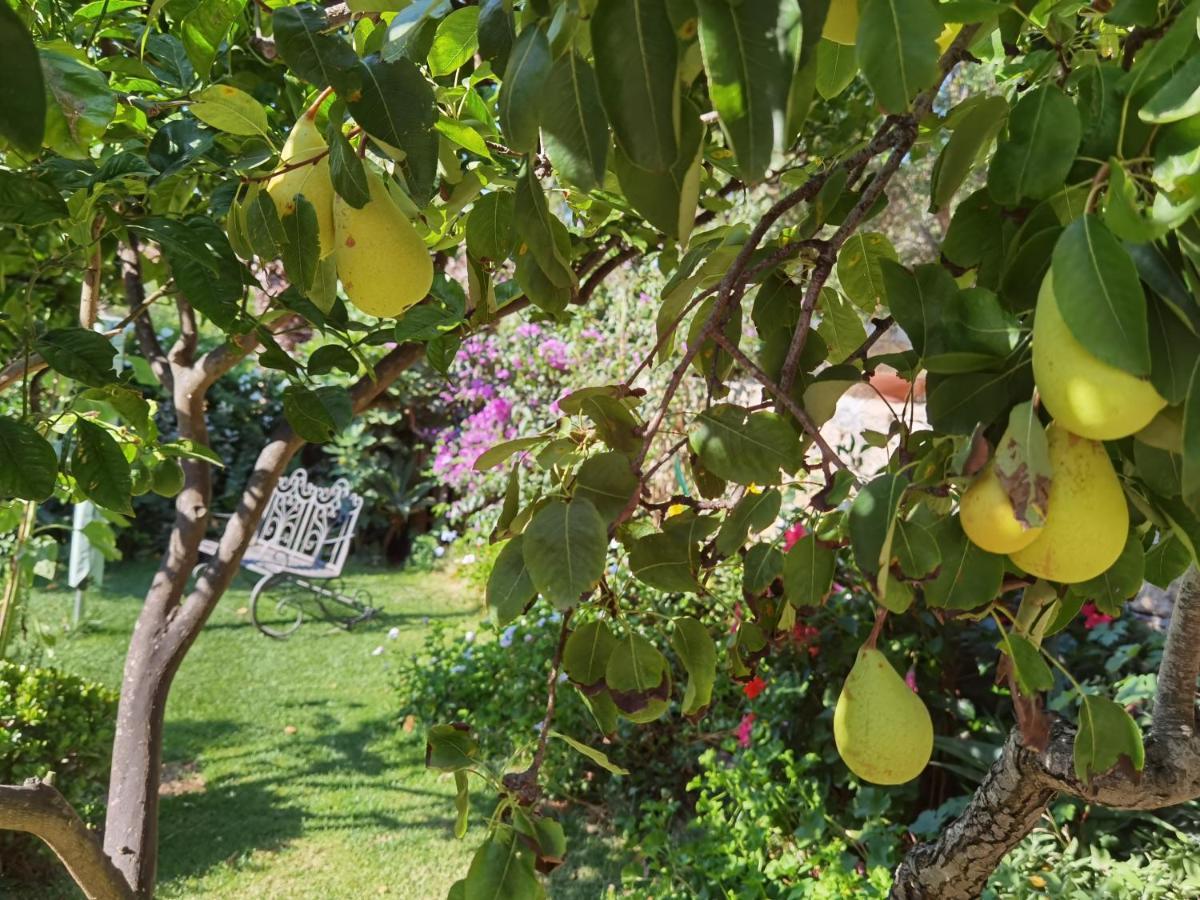 Il Giardino Di Tatiana Rooms & Breakfast La Maddalena  Exteriér fotografie