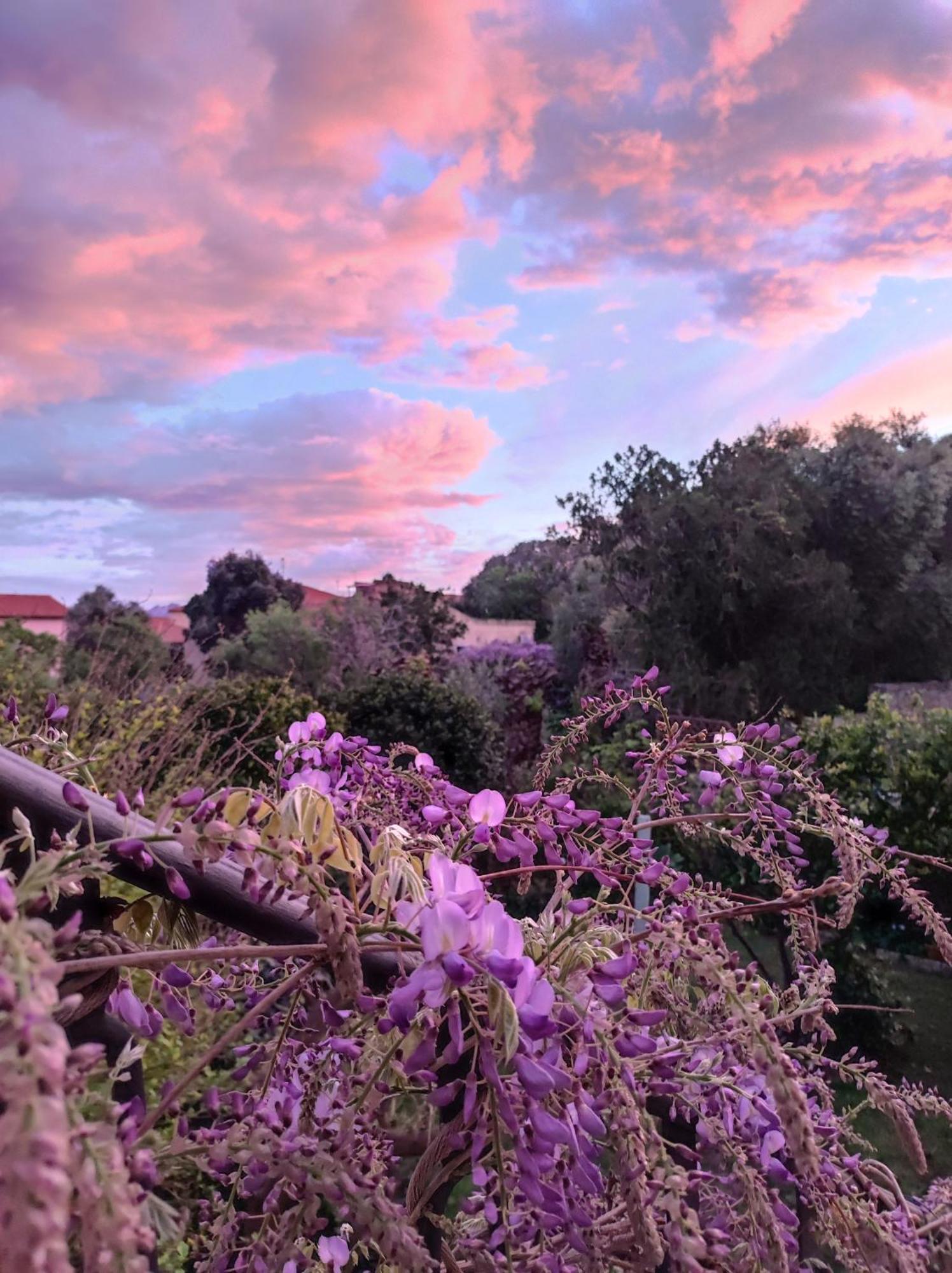 Il Giardino Di Tatiana Rooms & Breakfast La Maddalena  Pokoj fotografie